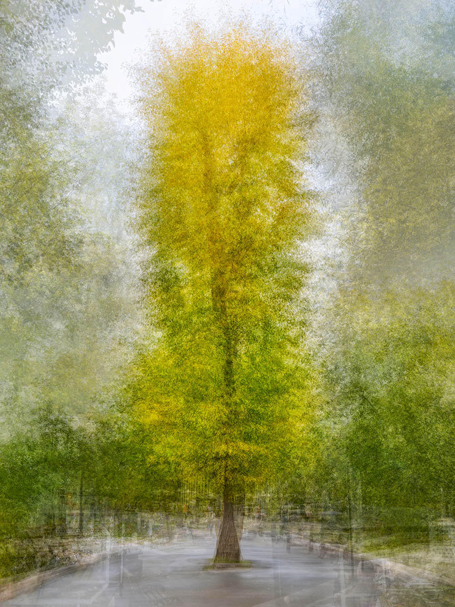 Gorky Park