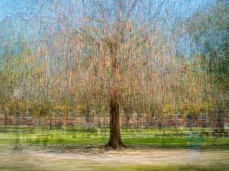 Mardi Gras Bead Tree