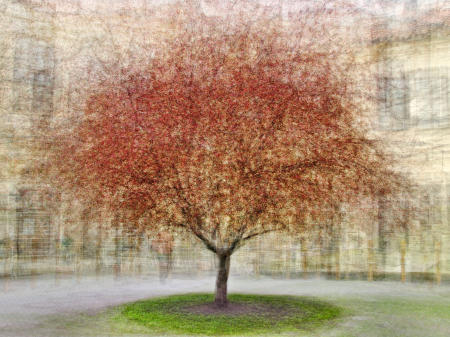 Prague Portheimka Park, One