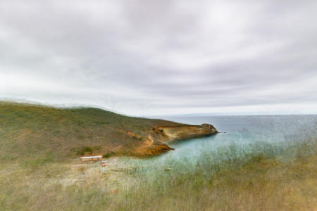 Cherry Cove